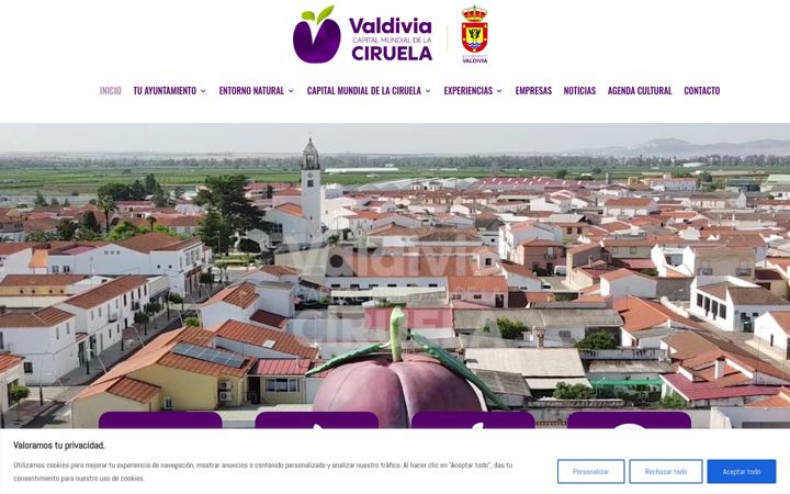 Screenshot of aytovaldivia.es