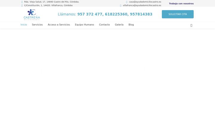 Screenshot of ayudadomiciliocastro.es