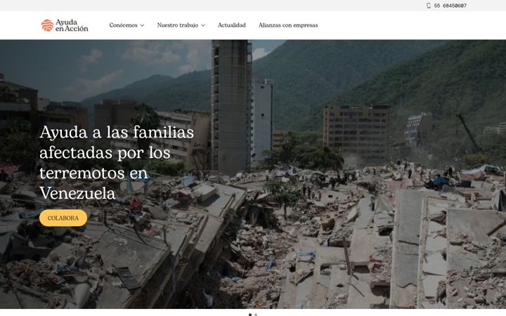 Screenshot of ayudaenaccion.org.mx
