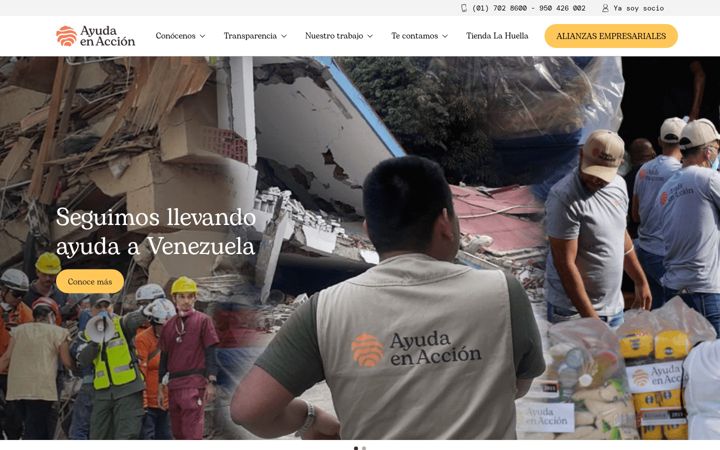 Screenshot of ayudaenaccion.org.pe