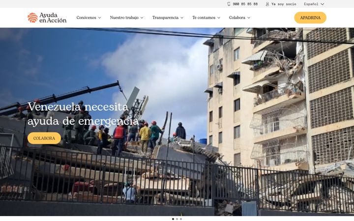 Screenshot of ayudaenaccion.org