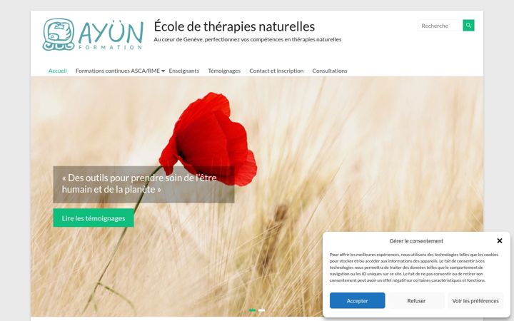 Screenshot of ayun-formation.com