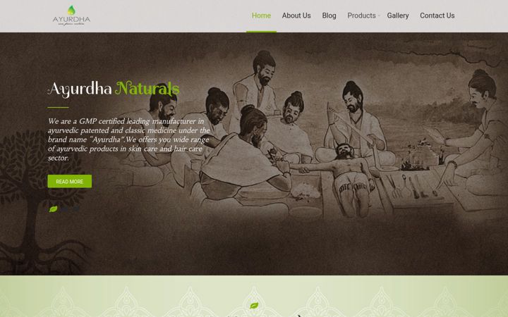 Screenshot of ayurdhanaturals.com