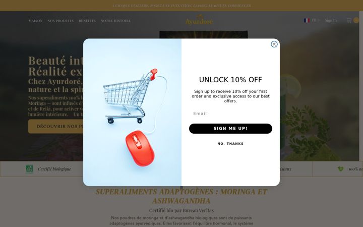 Screenshot of ayurdore.com