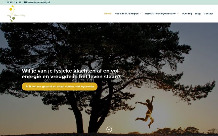 Screenshot of ayurhealthy.nl