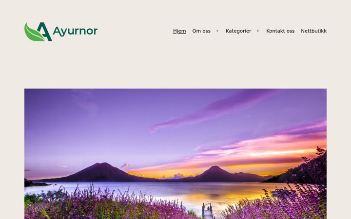 Screenshot of ayurved.no