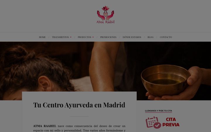 Screenshot of ayurvedamadrid.es