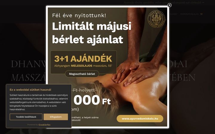 Ekraanipilt saidist ayurvedamiskolc.hu