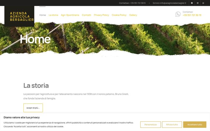 Screenshot of azagricolabersaglier.it