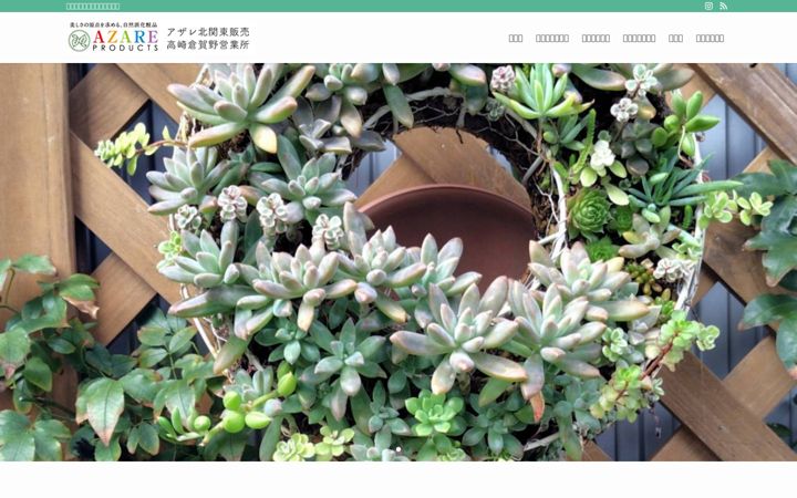 Screenshot of azare-k-takasakikuragano.com