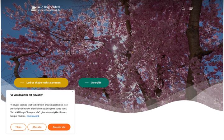 Screenshot of azbogholderi.dk