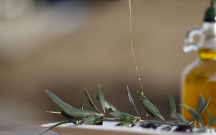 Screenshot of azeiteborba.pt