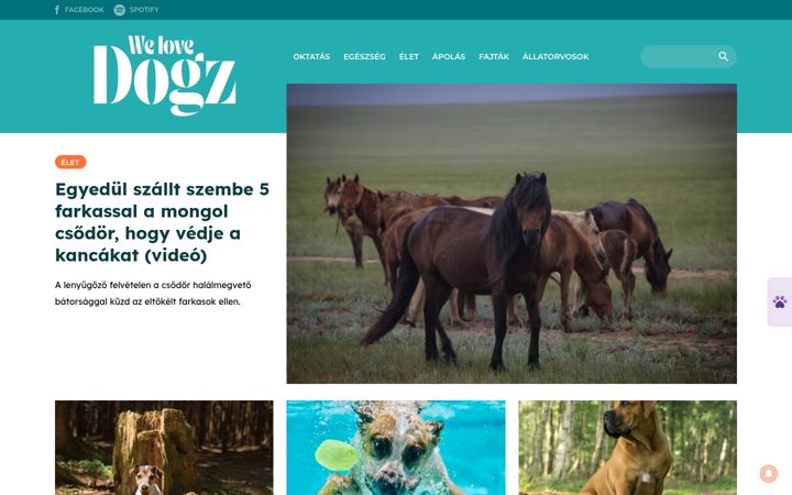 Screenshot of azenkutyam.hu