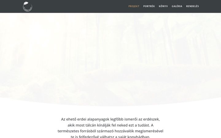 Screenshot of azerdofinom.hu