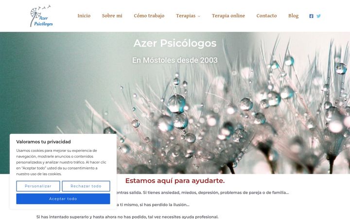 Screenshot of azerpsicologosmostoles.com