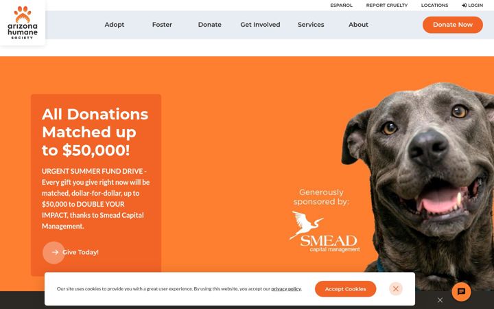 Screenshot ta' azhumane.org