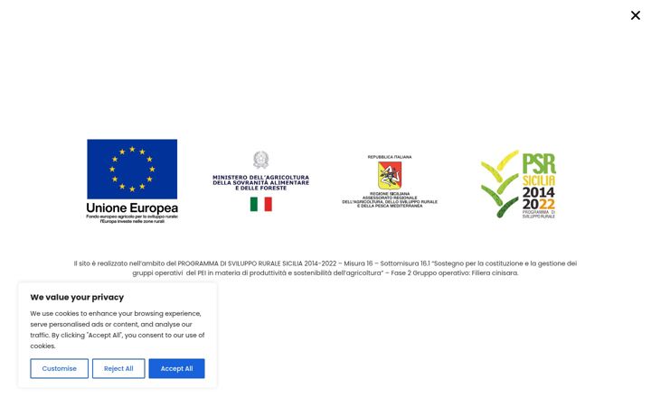 Screenshot of aziendaagricolabruscasalvatore.it
