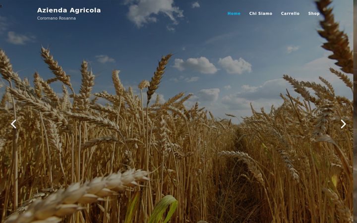 Screenshot of aziendaagricolacoromanorosanna.it