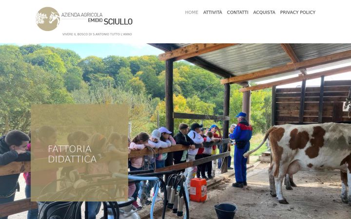 Screenshot of aziendaagricolaemidiosciullo.com