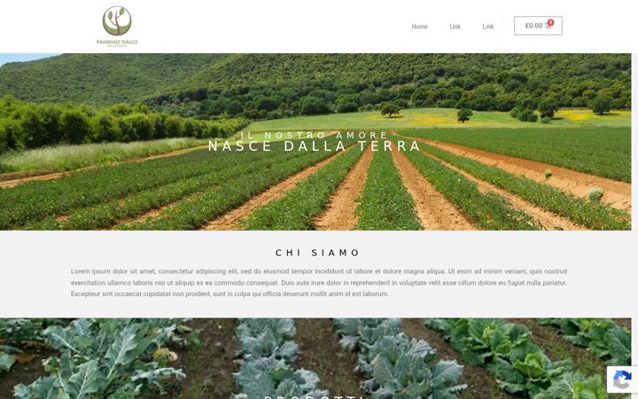 Screenshot of aziendaagricolagallo.it