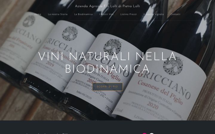Screenshot of aziendaagricolalolli.com