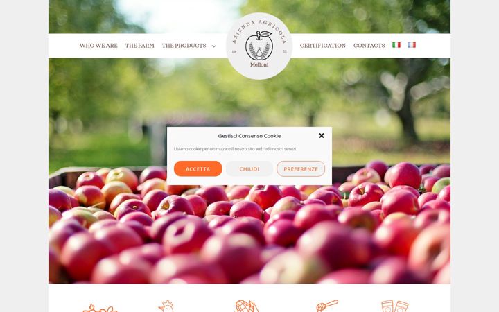 Screenshot of aziendaagricolamelloni.it