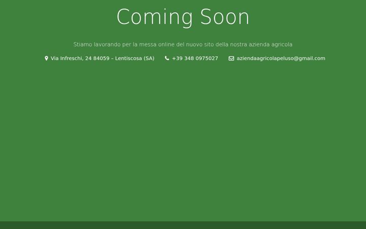 Screenshot of aziendaagricolapeluso.com