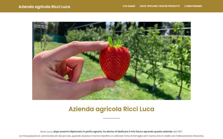 Screenshot di aziendaagricolaricciluca.it