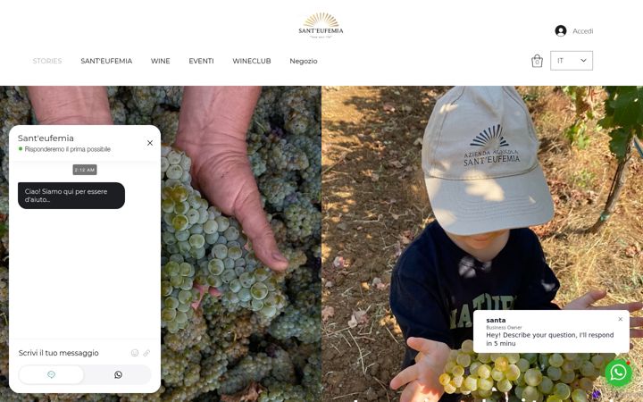 Screenshot of aziendaagricolasanteufemia.com