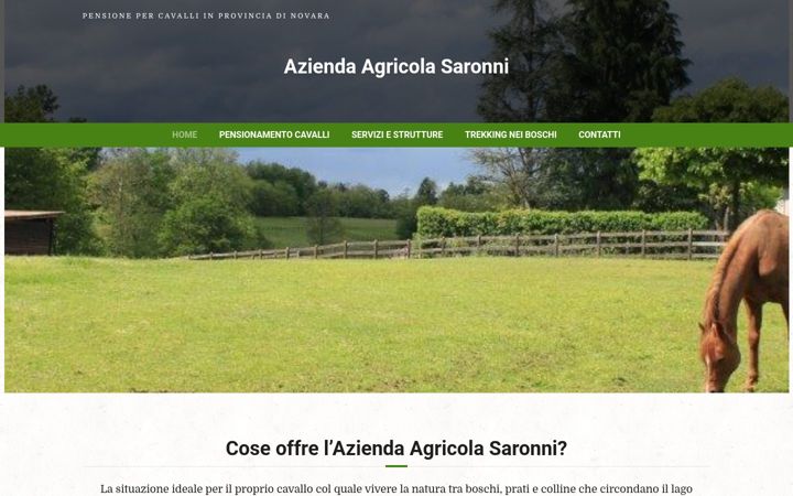 Screenshot of aziendaagricolasaronni.it