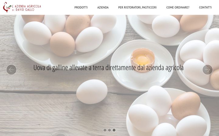 Ekrano kopija aziendadavidgallo.it