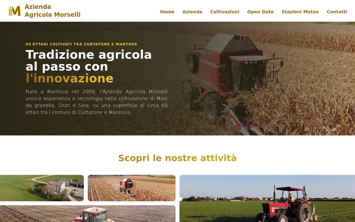 Screenshot of aziendamorselli.farm