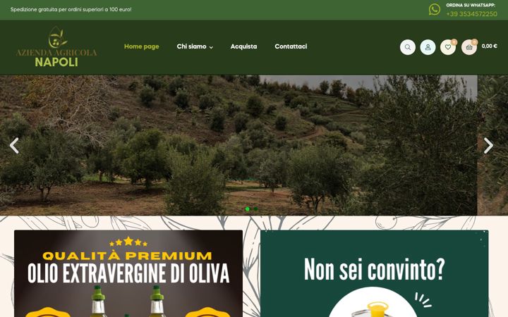 Screenshot of aziendanapoli.it