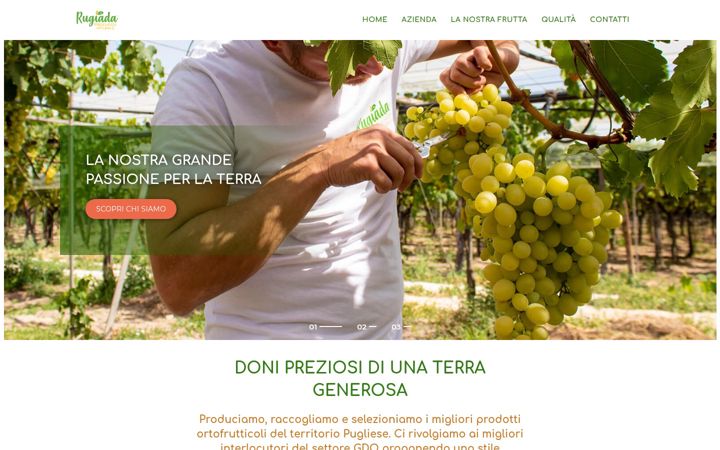 Screenshot of aziendarugiada.it