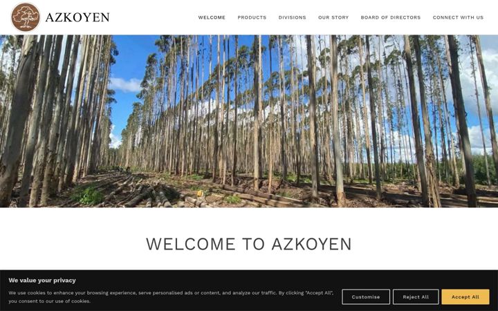 Skærmbillede af azkoyen.co.za