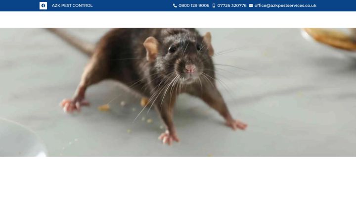 Screenshot of azkpestservices.co.uk
