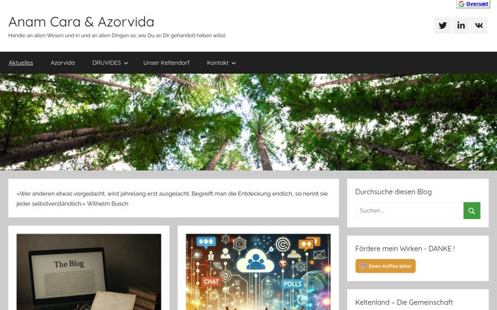 Screenshot of azorvida.eu