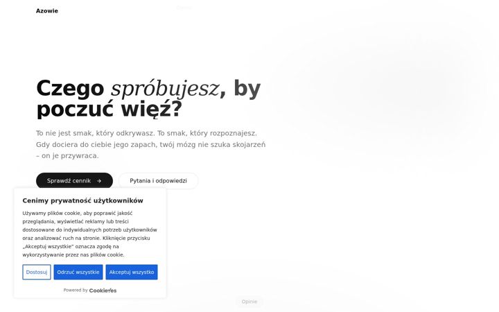 Screenshot of azowie.pl