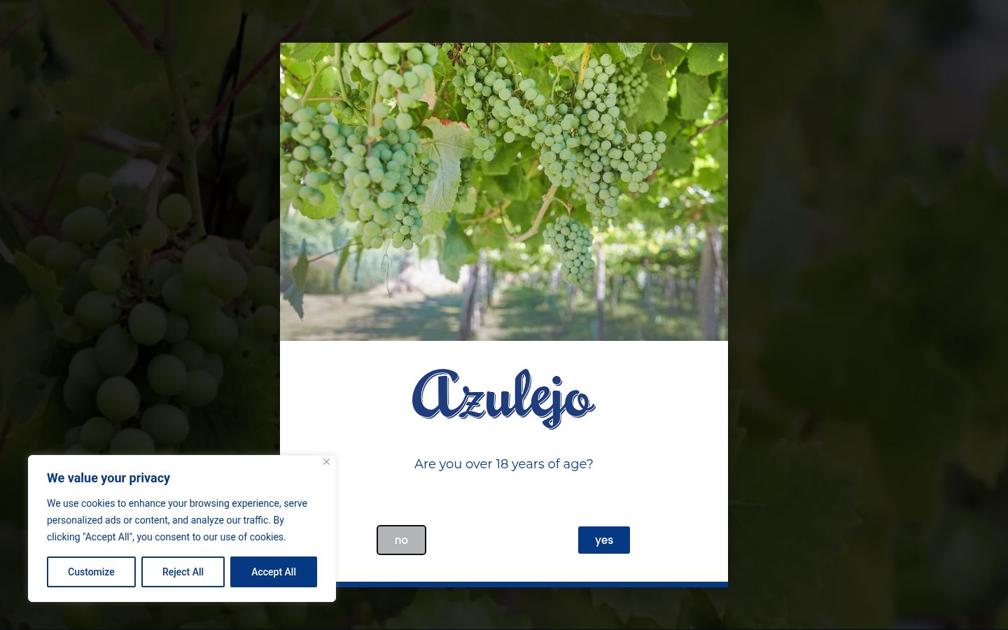 Screenshot of the consent banner shown before any interaction