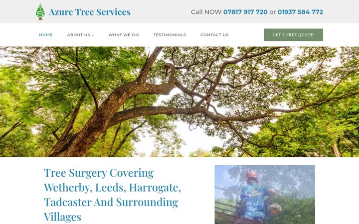Screenshot of azuretreeservices.com