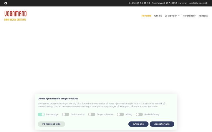 Screenshot of b-bach.dk