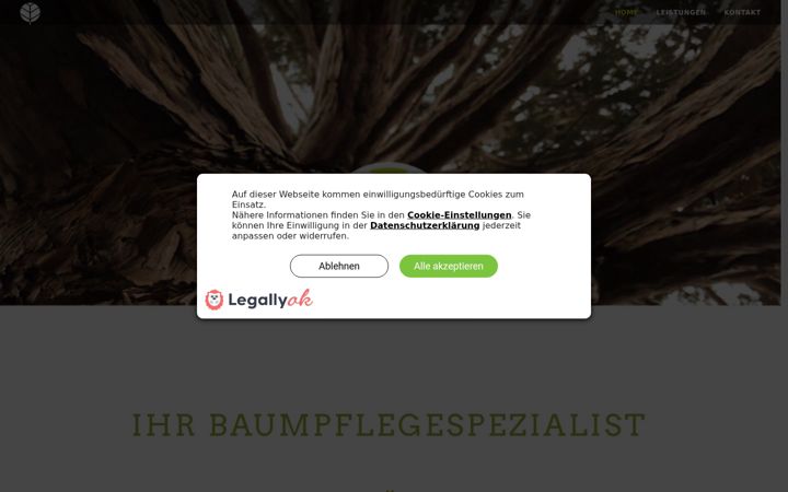 Screenshot of b-baumpflege.ch