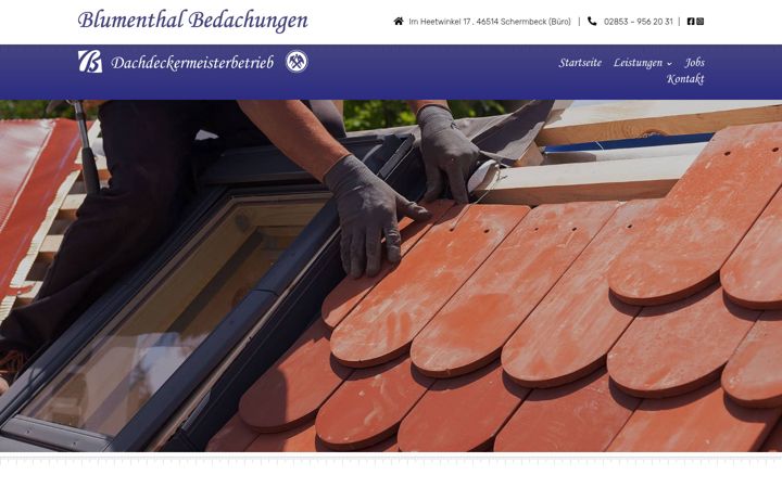 Screenshot of b-bedachungen.de