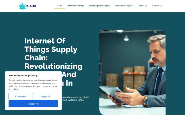 Screenshot of b-bug.com
