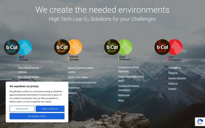 Screenshot of b-cat.nl