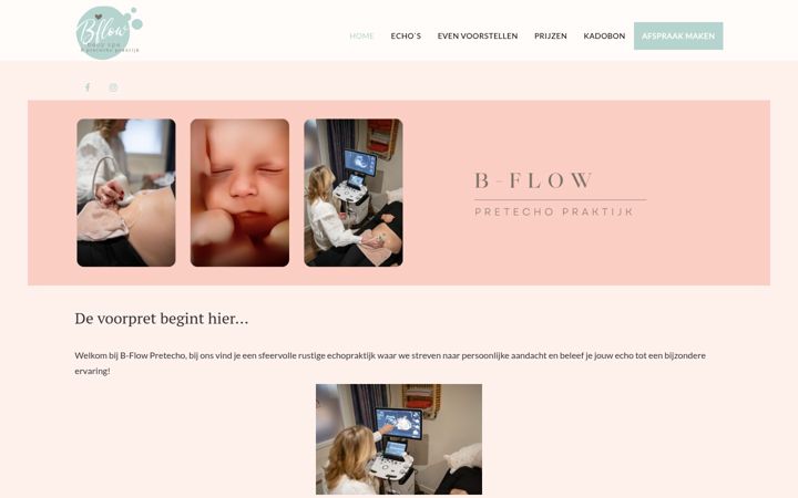 Screenshot of b-flowpretecho.nl