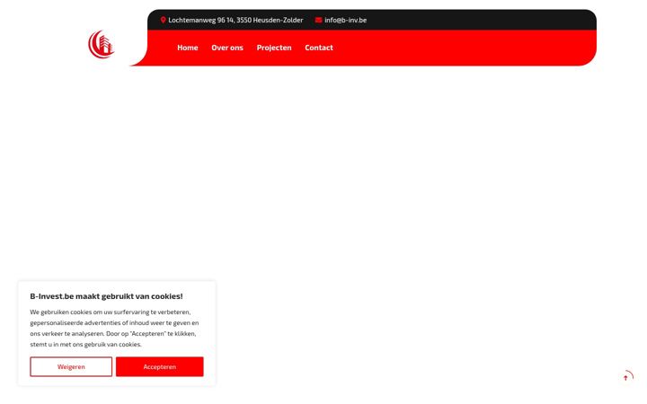 Screenshot of b-inv.be