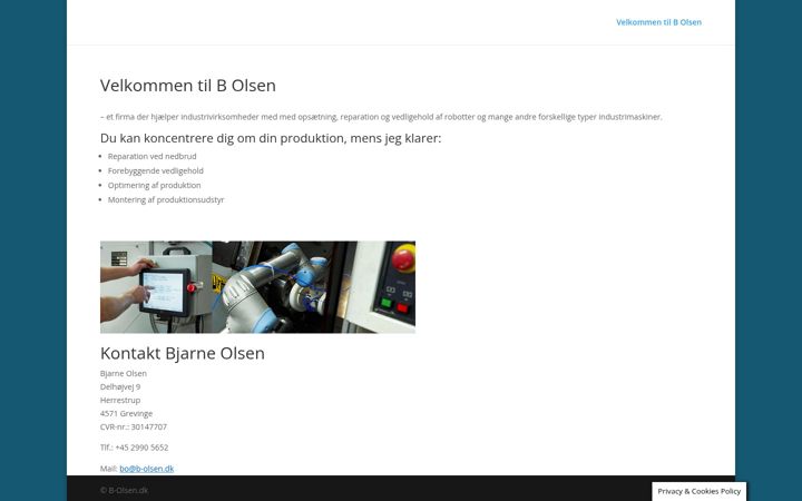 Screenshot of b-olsen.dk