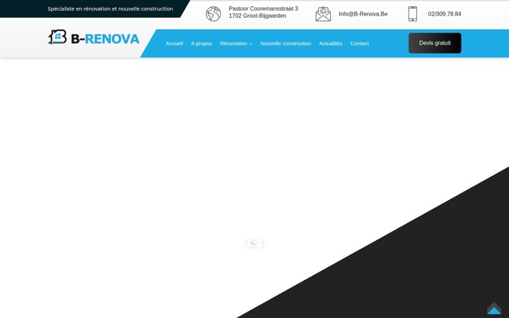 Screenshot of b-renova.be