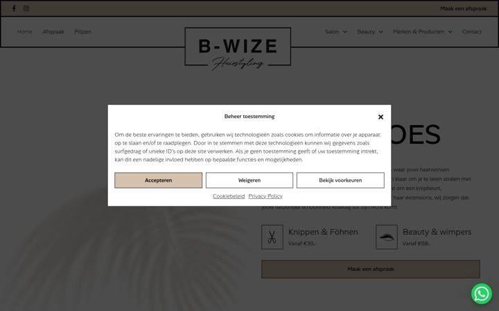 Skjermbilde av b-wizehairstyling.nl